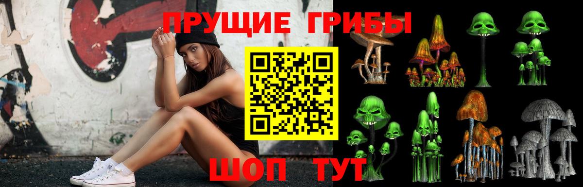 Галлюциногенные грибы Psilocybine cubensis  Вход с VPN  Галлюциногенные грибы мицелий  закладка  Котовск 